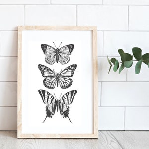 May include: A framed print with three black and white illustrations of butterflies. The butterflies are arranged vertically, with the largest butterfly at the bottom.