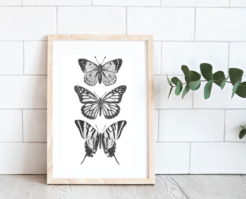 May include: A framed print with three black and white illustrations of butterflies. The butterflies are arranged vertically, with the largest butterfly at the bottom.