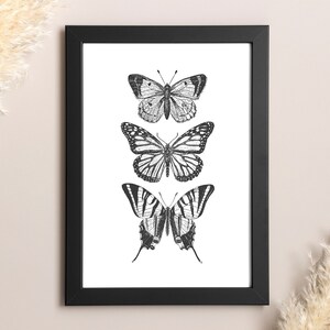 May include: Black and white illustration of three butterflies in a black frame. The butterflies are arranged vertically, with the largest butterfly at the bottom and the smallest butterfly at the top.