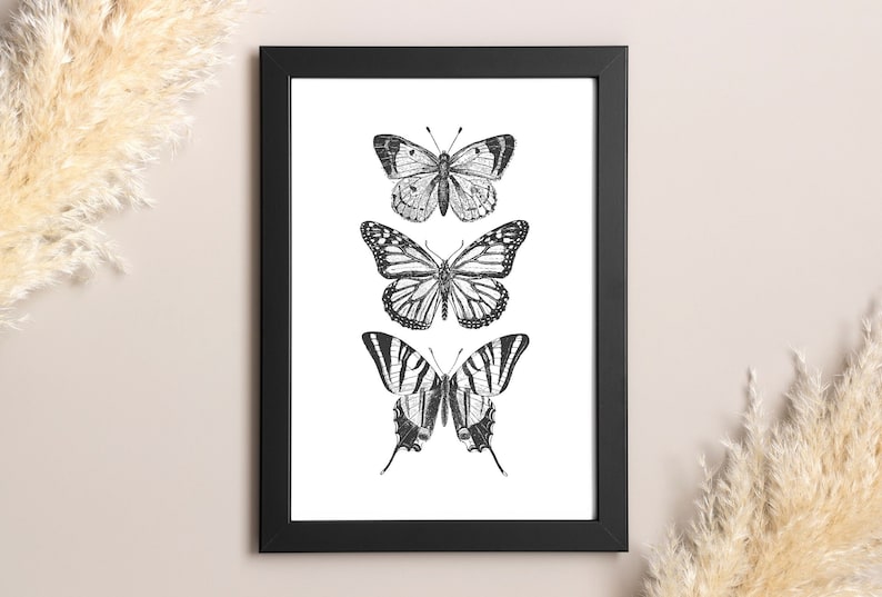 May include: Black and white illustration of three butterflies in a black frame. The butterflies are arranged vertically, with the largest butterfly at the bottom and the smallest butterfly at the top.
