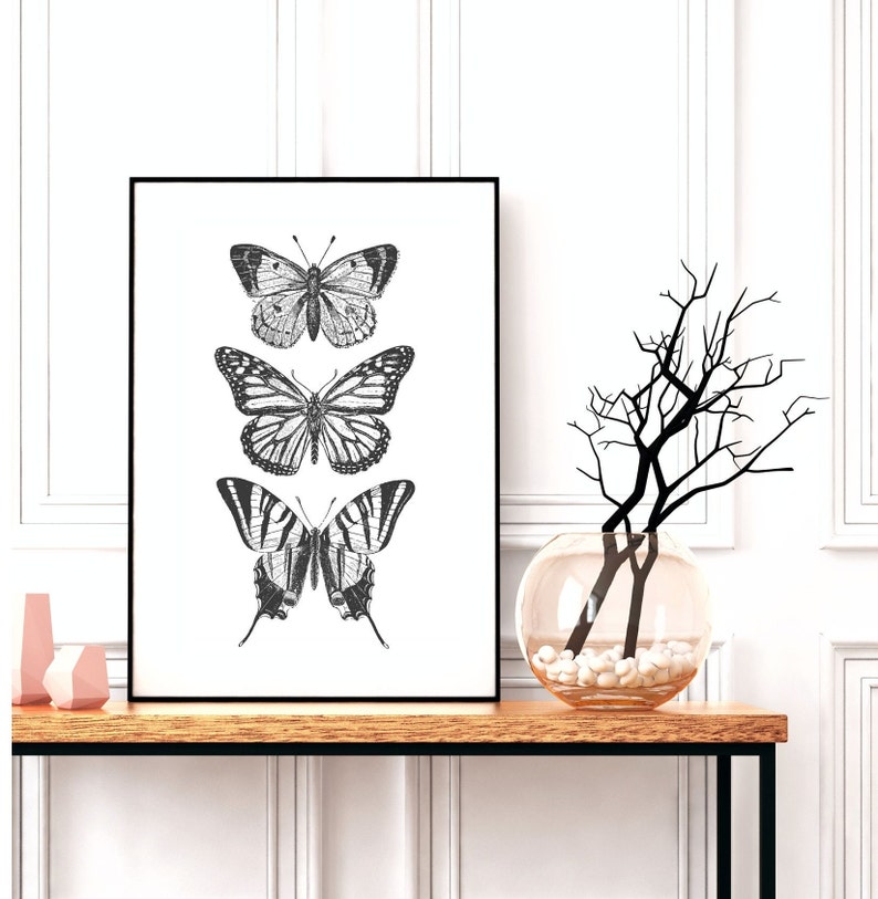 May include: Black and white print of three butterflies on a white background in a black frame. The butterflies are arranged vertically, with the largest butterfly at the bottom. The print is hanging on a wall above a wooden table with a vase of branches.