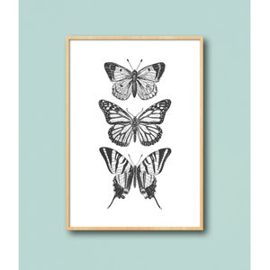 May include: A framed print featuring three black and white illustrations of butterflies. The butterflies are arranged vertically, with the largest butterfly at the bottom and the smallest butterfly at the top.