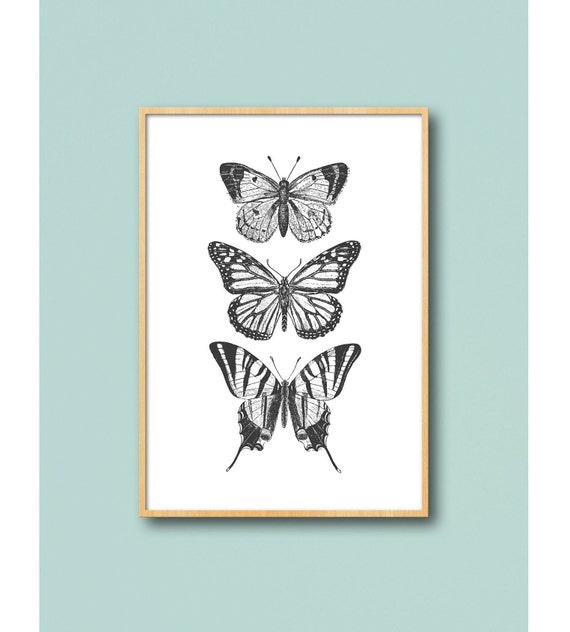 Butterfly Sketch Trio, Minimal Ink Line Art Drawing, Celestial Mystic Apothecary Moth, Aesthetic Cottagecore Vintage Boho Style, Printable
