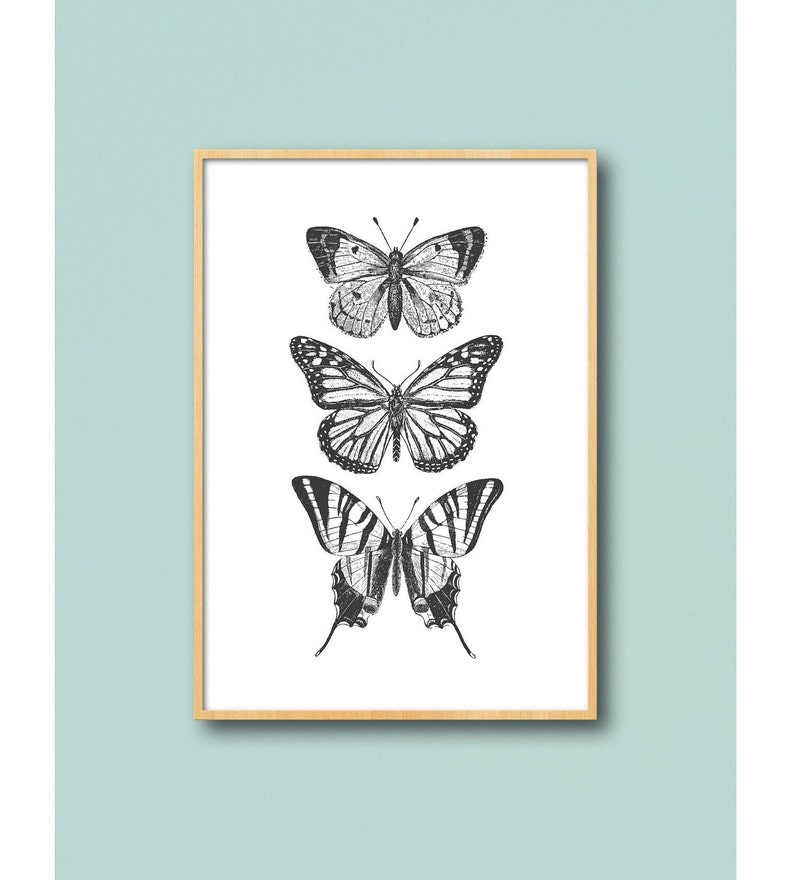 May include: A framed print featuring three black and white illustrations of butterflies. The butterflies are arranged vertically, with the largest butterfly at the bottom and the smallest butterfly at the top.