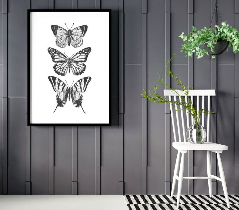 May include: A black and white framed print of three butterflies on a white background. The butterflies are arranged vertically, with the largest butterfly at the bottom and the smallest butterfly at the top. The print is hanging on a gray wall.