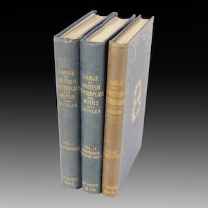 Rare Antiquarian Butterfly & Moth Larvae Books: 1885-88 William Buckler, Ray Society