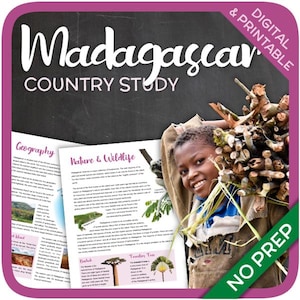 Madagascar (country study)