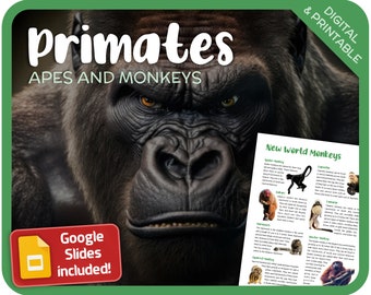 Primates