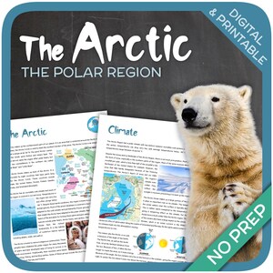 The Arctic
