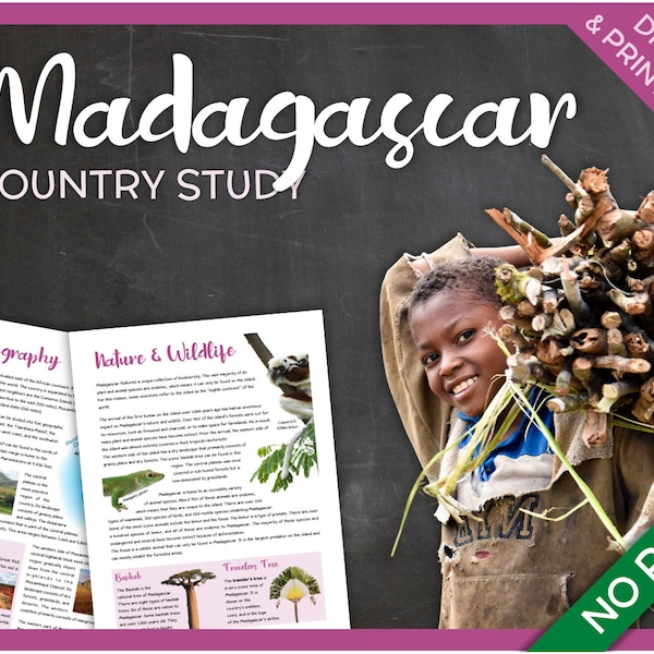 Madagascar (country study)