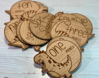 Dinosaur Themed Baby Monthly Milestone Markers, 1 Month to 1 Year, Baby Photos, Baby Milestones Signs, Baby Shower Gift, New Parent Present