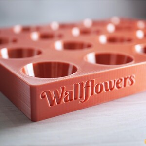 May include: A red silicone mold with 12 circular depressions, designed for making small cakes or other treats. The mold has the word "Wallflowers" embossed on the bottom.