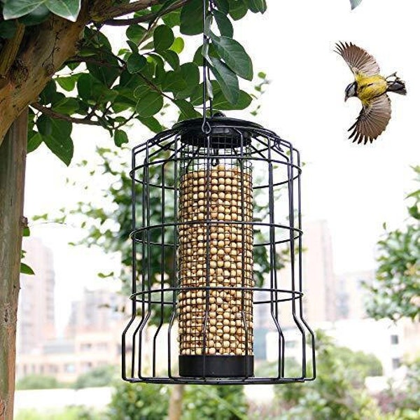 Squirrel Proof Bird Feeder Etsy