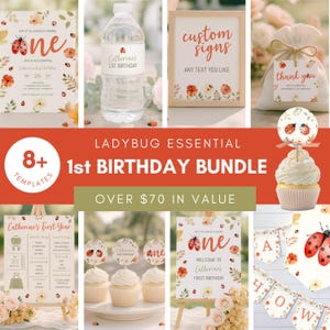 Ladybug First Birthday Bundle, Lovebug Birthday Decorations Printable, Ladybug Birthday Party Decor Set, Lovebug First Birthday Bundle sb168