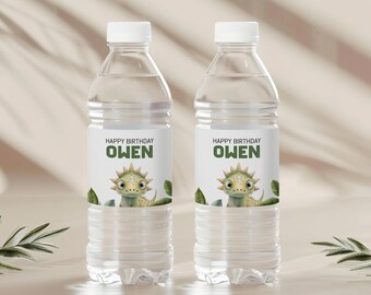 Dinosaur Water Bottle Label, Editable Template for Dino Birthday Party, Printable Drink Wrapper, Favor Template, Instant Download sb104