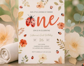 Ladybug First Birthday Invitation, Lovebug First Birthday Invite Printable Girl, Ladybug 1st Birthday Party Invitation Digital, sb168