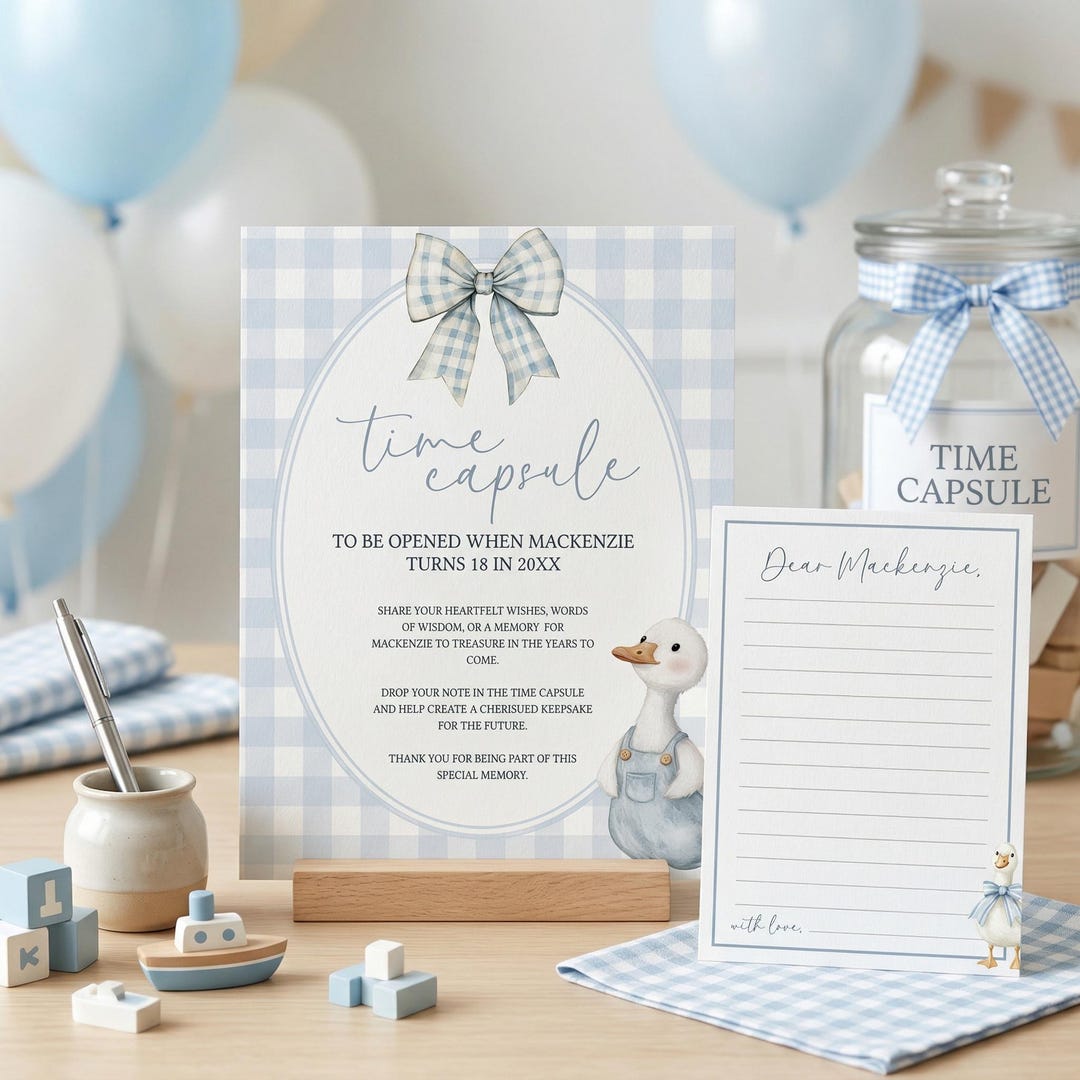 One Silly Goose Time Capsule Boy, Blue Gingham Silly Goose Party Decor ...