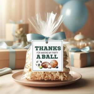 Sports Themed Thank You Cards, Editable Sports Party Favor Tag, Multi Sport Thank You Gift Tag, Boy Loot Bag Label, Printable Template sb127