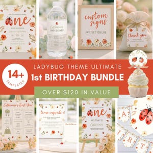 Ladybug First Birthday Bundle, Lovebug Birthday Decorations Printable, Ladybug Birthday Party Decor Set, Lovebug First Birthday Bundle sb168