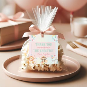 Circus Thank You Tags, Editable Carnival Party Favor Tags, Printable Kids Birthday Loot Bag Tags, Editable Label Instant Download, sb119