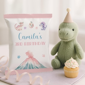 Girl Dinosaur Chip Bag Wrapper Printable, Pink Dino Birthday Chip Bag, Dinosaur Party Favor Bag for Girls, Loot Bag Digital Download, sb149