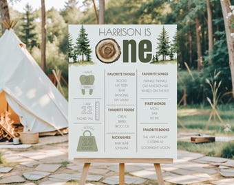 One Happy Camper Milestone Sign, Camping Theme Birth Stats Poster, First Birthday Editable Sign Template, Printable Party Decoration, sb110
