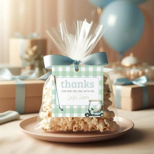 Golf Theme Thank You Gift Tags, Hole In One Golf Party Thank You Gift, Favor Tags For Golf Party, Printable Kids Birthday Loot Bag, sb118