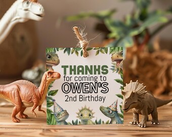 Dinosaur Thank You Tag, Printable Favor Tag for Kids Birthday Party, Cute Dino Decor, T Rex Editable Dino Template, Instant Download sb104