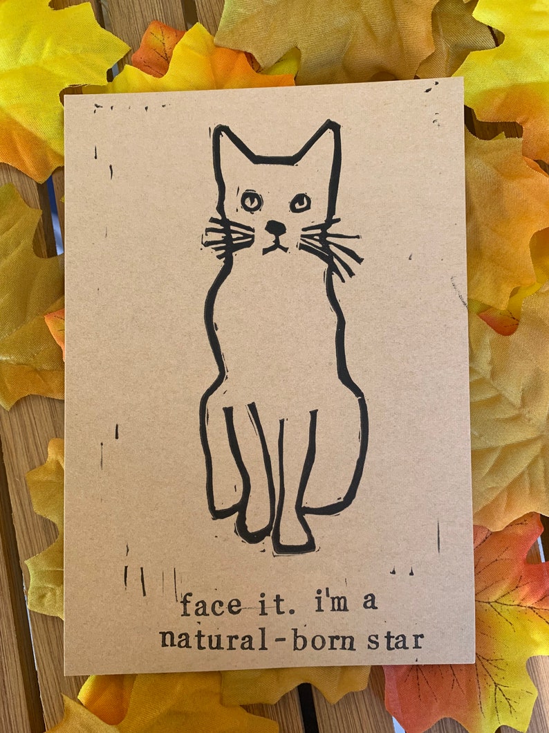 Pu&ograve; includere: Un biglietto marrone con un disegno a linea nera di un gatto seduto con il testo "face it... i'm a natural-born star" sotto il gatto.