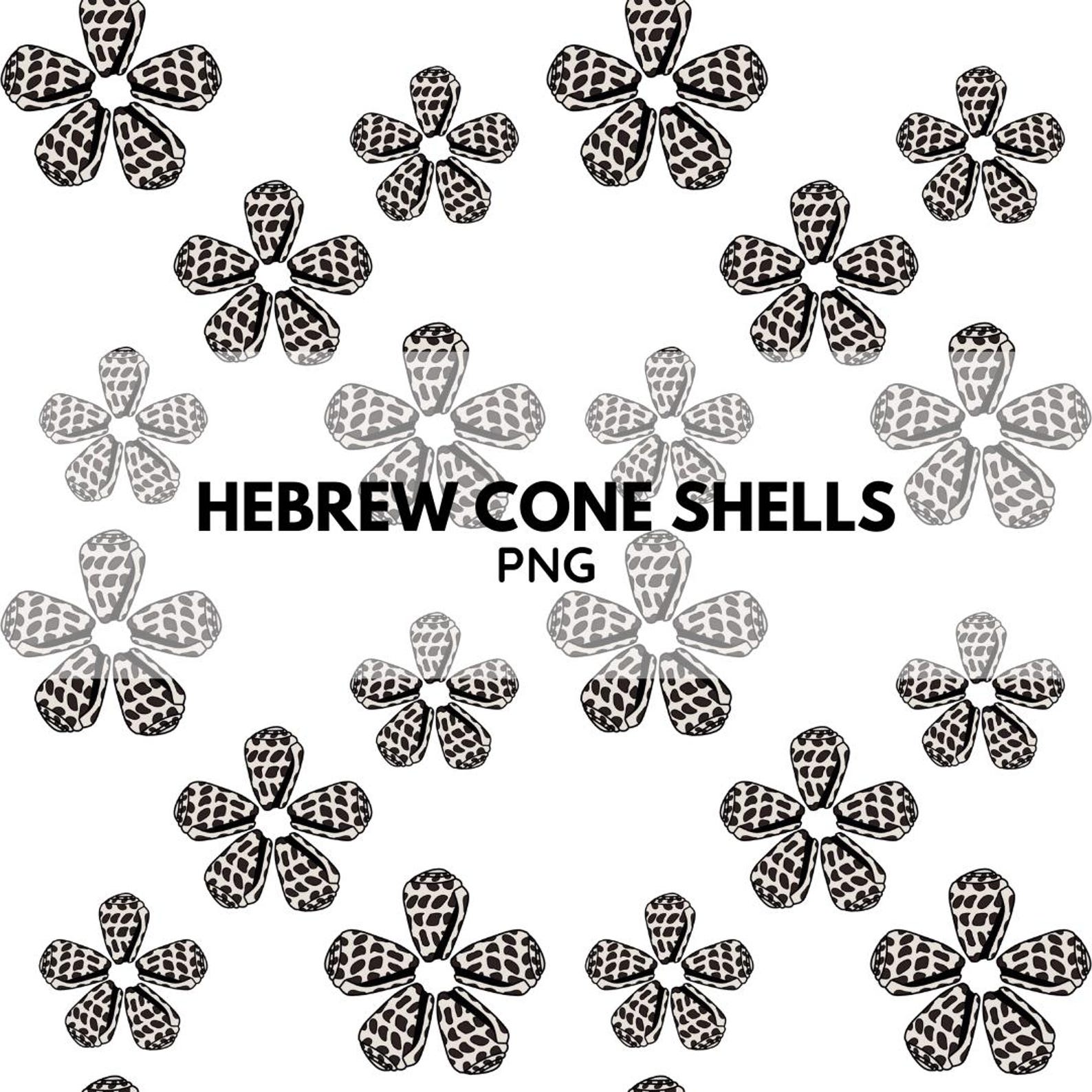 Hebrew Cone Shell Pattern Print | Seamless PNG (digital File) - Etsy
