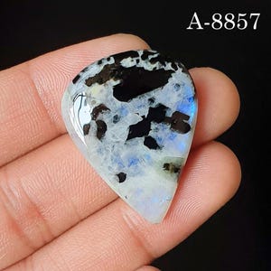 May include: A teardrop-shaped moonstone cabochon featuring a polished surface with a mix of translucent white, iridescent blue flashes, and opaque black inclusions. The text A-8857 is visible in the upper right corner of the image.