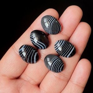 May include: Five oval-shaped cabochons featuring a polished black surface with distinct, concentric white banded patterns. These smooth, rounded stones display a high-gloss finish and are arranged in a cluster, showcasing their natural layered appearance.
