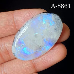 May include: An oval-shaped moonstone cabochon featuring a translucent white base with vibrant blue adularescence and internal inclusions. The gemstone displays a polished, smooth surface and is labeled with the text A-8861 in the upper right corner.
