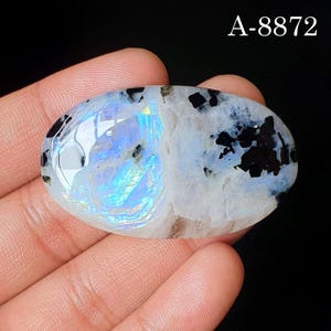 May include: An oval-shaped moonstone cabochon featuring a translucent white base with iridescent blue flashes and scattered black mineral inclusions. The stone displays a smooth, polished surface and is marked with the text A-8872 in the upper corner.