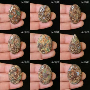 Könnte beinhalten: Eine Sammlung von neun polierten, orbikularen Jaspis-Cabochons, die jeweils einzigartige braune, grüne und hellbraune kreisförmige Muster aufweisen. Die Steine sind von A-8060 bis A-8068 beschriftet und zeigen verschiedene ovale und tropfenförmige Formen.