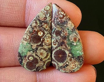 Puede incluir: Un par de cabujones en forma de lágrima de color marrón, verde y blanco con un patrón único y arremolinado. Los cabujones miden aproximadamente 2,5 cm de largo.
