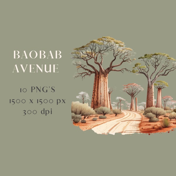 Baobab tree clipart for commercial use graphics bundle png, sublimation design digital download, digital journaling kit printable, scrapbook