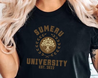 Camisa Sumeru Genshin Impact, jogos, Genshin Impact city, Sumeru City Genshin Impact, camiseta para jogos online, presente para jogadores, camiseta Sumeru Game