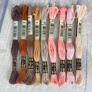 May include: Ten spools of DMC embroidery floss in various shades of brown, beige, and pink. The spools are labelled with DMC numbers and the DMC logo.