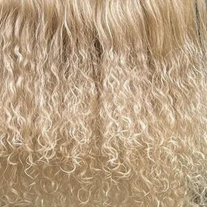 May include: A close-up view of light blonde hair with a wavy and curly texture. The strands are fine and exhibit a natural, multi-tonal appearance with varying shades of pale yellow and platinum blonde throughout the dense, layered hair.