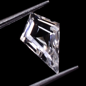 Klarer Quarz Drachen Form Edelstein, Natürlicher Kristall Quarz Facettierter Edelstein, Sternzeichen Zwillinge Zeichen, Heilender Kristall Schmuck, Ca. 12.0X7.0X4.0