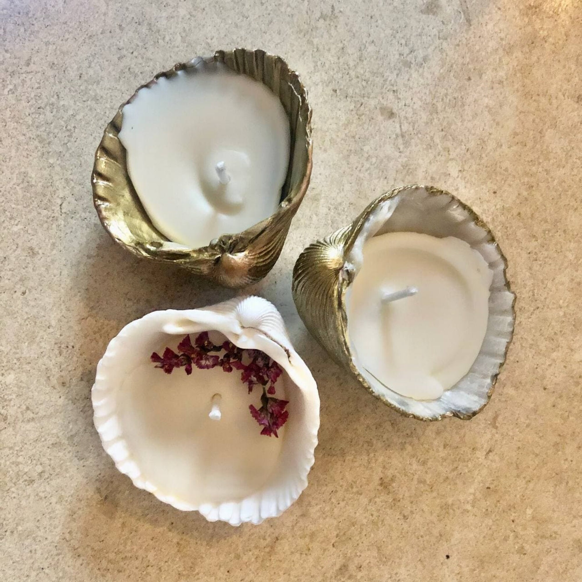 Bougies Coquillages | Vendues Par 3