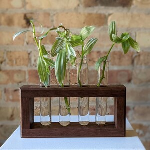 Propagation Station Hardwood