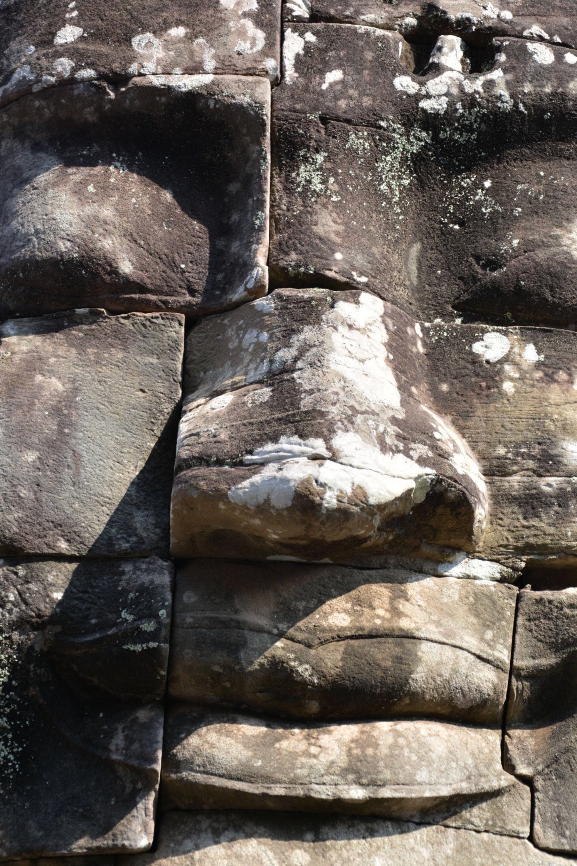 Photographie Narcisse