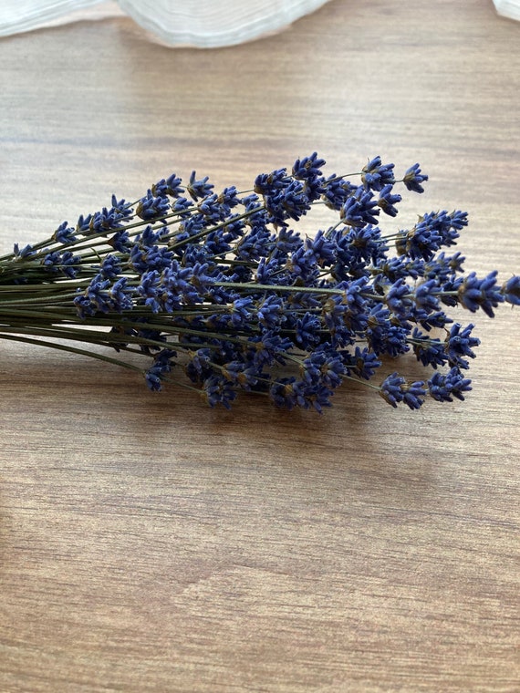 Dried Lavender - Homegrown Harvested in 2023