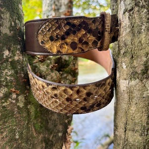 May include: A brown leather belt with a snakeskin pattern. The belt is wrapped around two tree trunks.