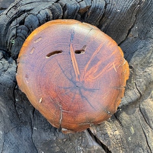 Vintage wood belt buckle
