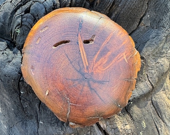 Vintage wood belt buckle
