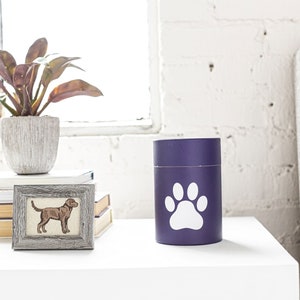 Paw Print Pet Cremation Scattering Tube: Biodegradable Urn