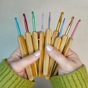 Può includere: Una collezione di uncinetti con manici in bambù e punte metalliche colorate. Gli uncinetti variano per dimensioni e colore, tra cui blu, rosso, verde, argento, oro e rame. I manici hanno una finitura naturale venata.